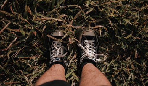 Person Wearing Black and White Converse Standing in Grass