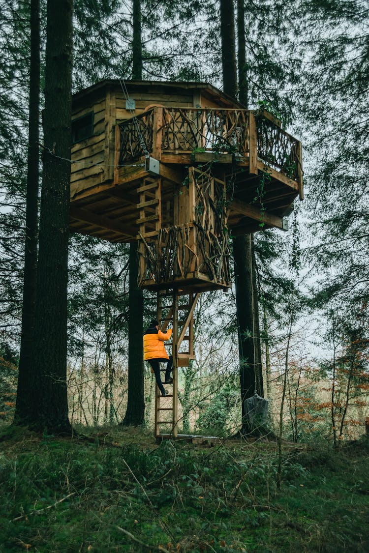 Anonymous Man Walking Upstairs Towards Wooden Tree House In Forest