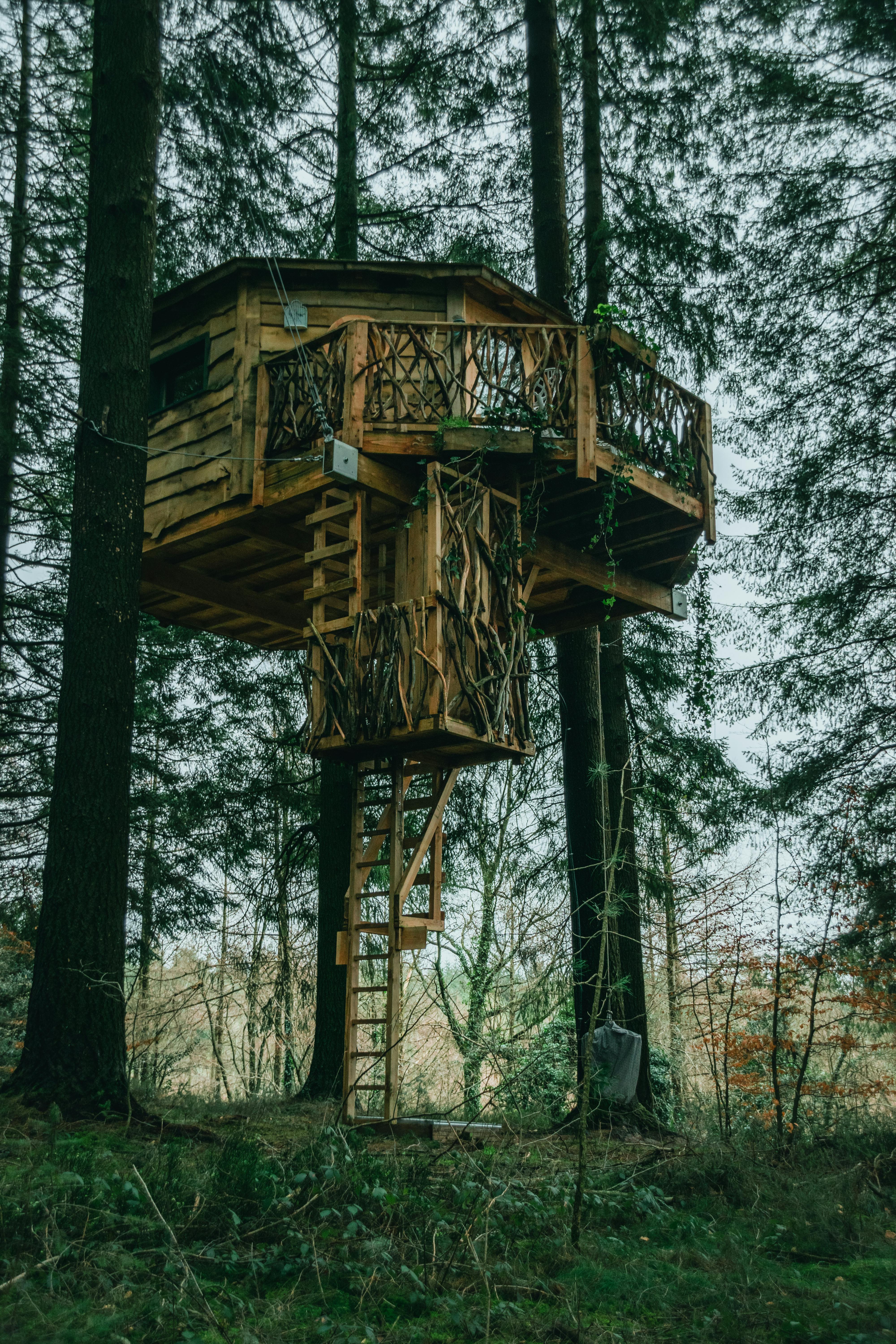 Exterior of wooden tree house in park · Free Stock Photo