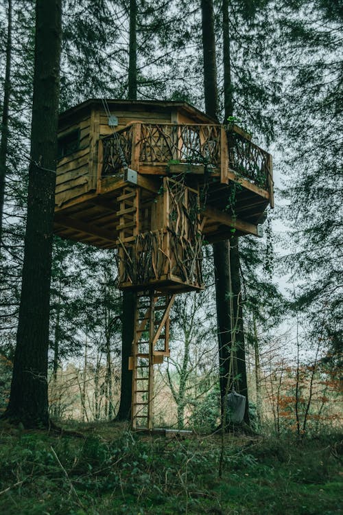 Exterior of wooden tree house in park