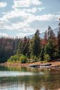 Picturesque scenery of wooden boats placed upside down on river shore in verdant sunny woodland