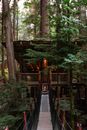 Small wooden tree house with burning electrical lights and narrow footbridge in lush abundant woodland