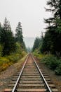 Rural railway running through verdant green forest