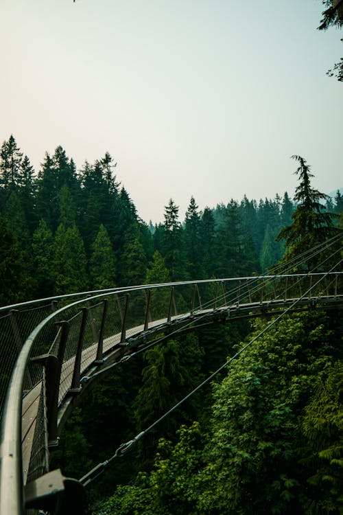 Scenery of narrow curvy suspension footbridge above green abundant trees in woodland on sunny day