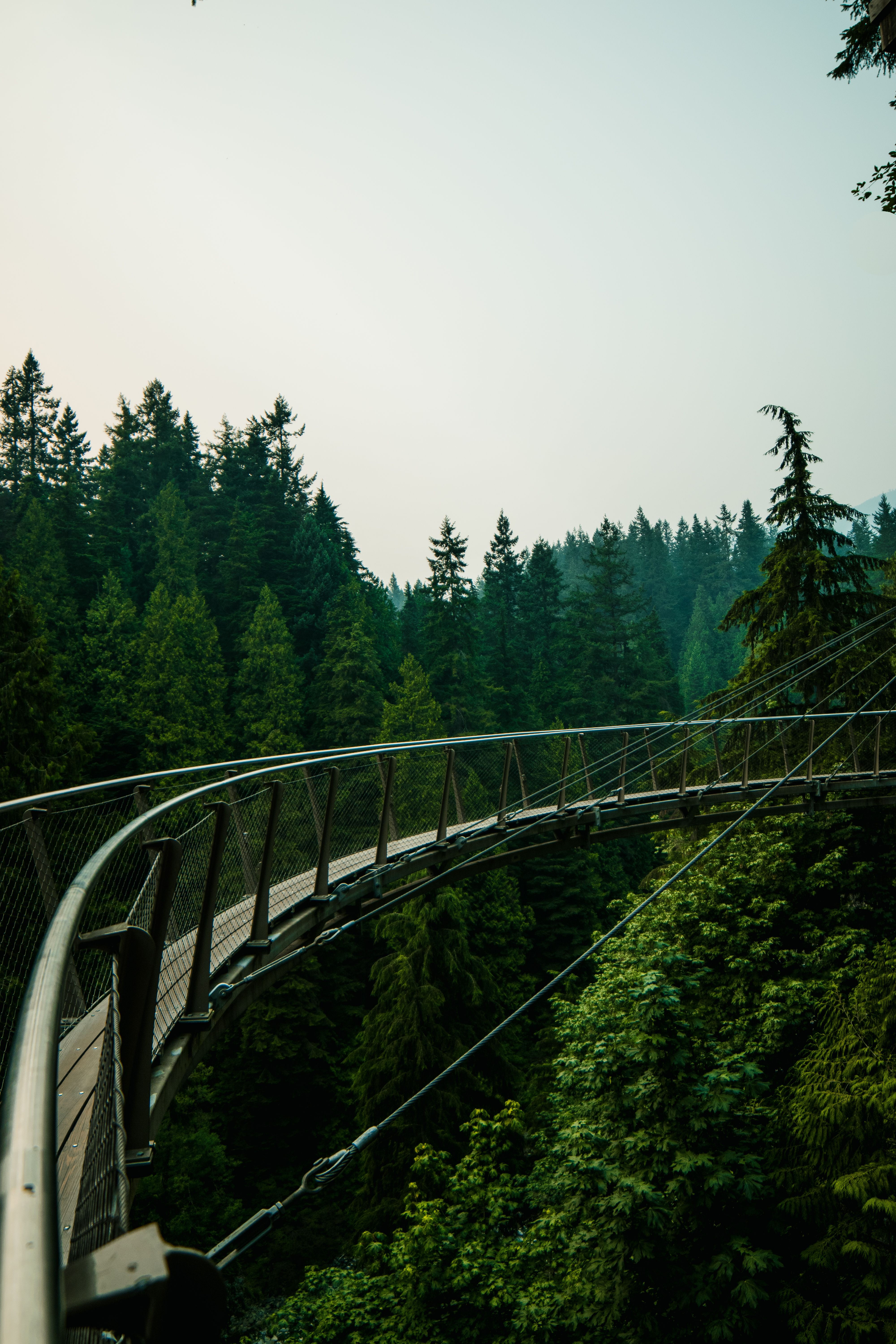 Sandy path with wooden poles · Free Stock Photo