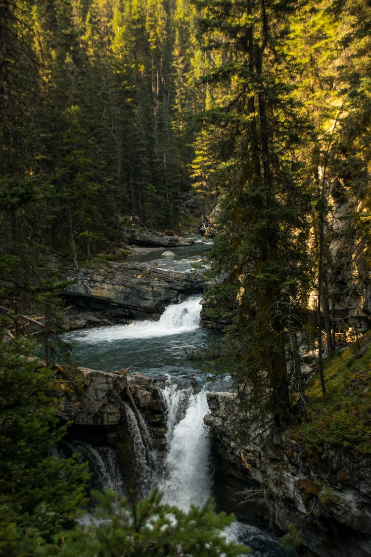 Rapid River Flowing Through Rough Stony Terrain In Lush Forest