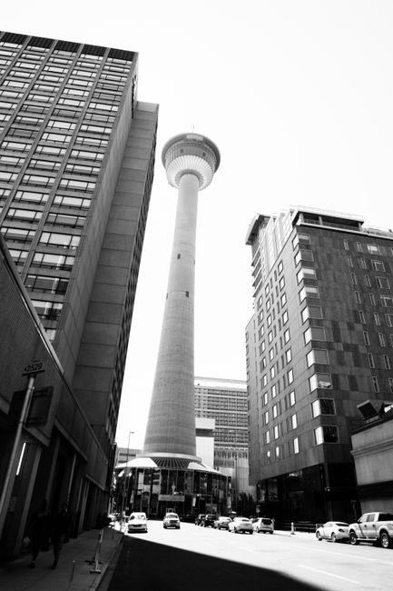 Black and white of tall contemporary tower between apartment buildings and wide asphalt road