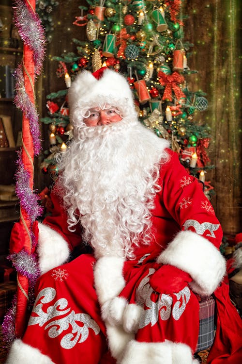 Content Santa Claus in red costume with staff and fluffy beard sitting near decorated Christmas tree and looking at camera