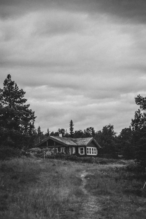 Black and white of aged rural cottage on grassy meadow with lush trees