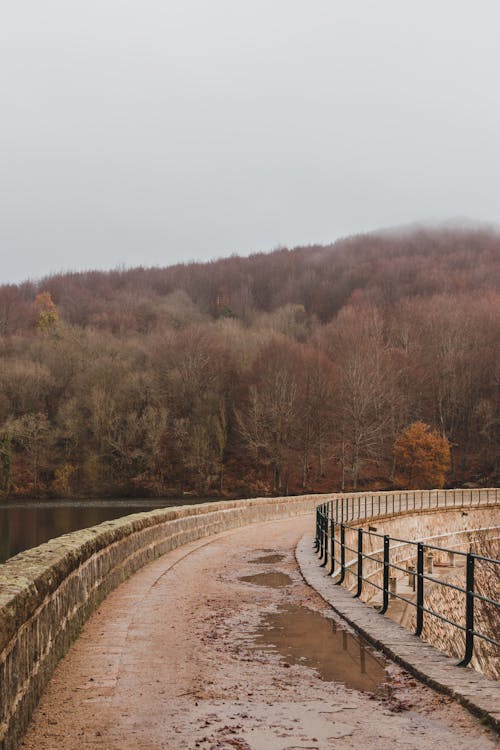 Empty narrow walkway on bridge over river against autumn forest on slope of mountain