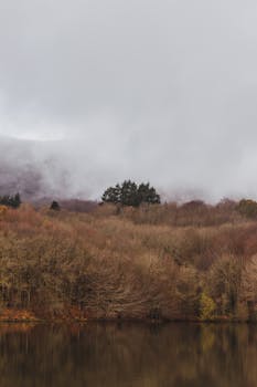 Tranquil autumn scenery of Montseny forest with mist over a calm lake.