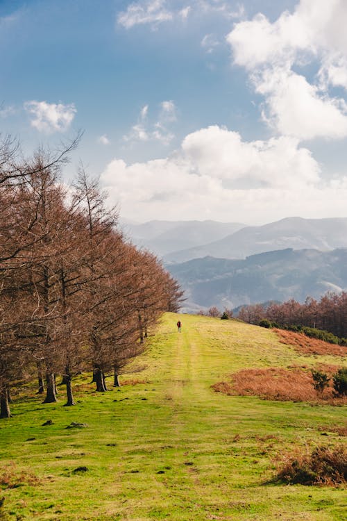 Green grassy valley in mountainous area