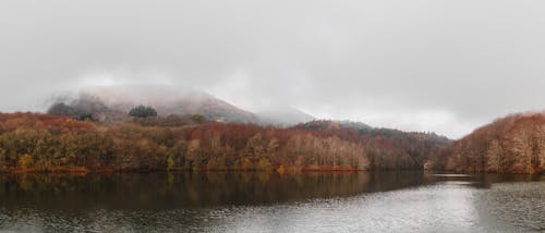 Wide lake near autumn forest on coast in highland area under cloudy sky