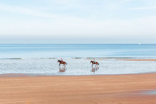 Unrecognizable people riding horses on beach