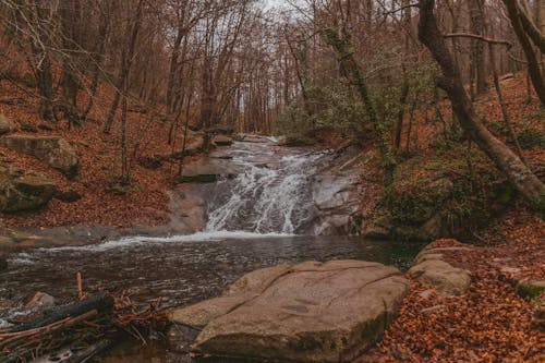 Narrow creek flowing among boulders in autumn forest with fallen leaves and trees