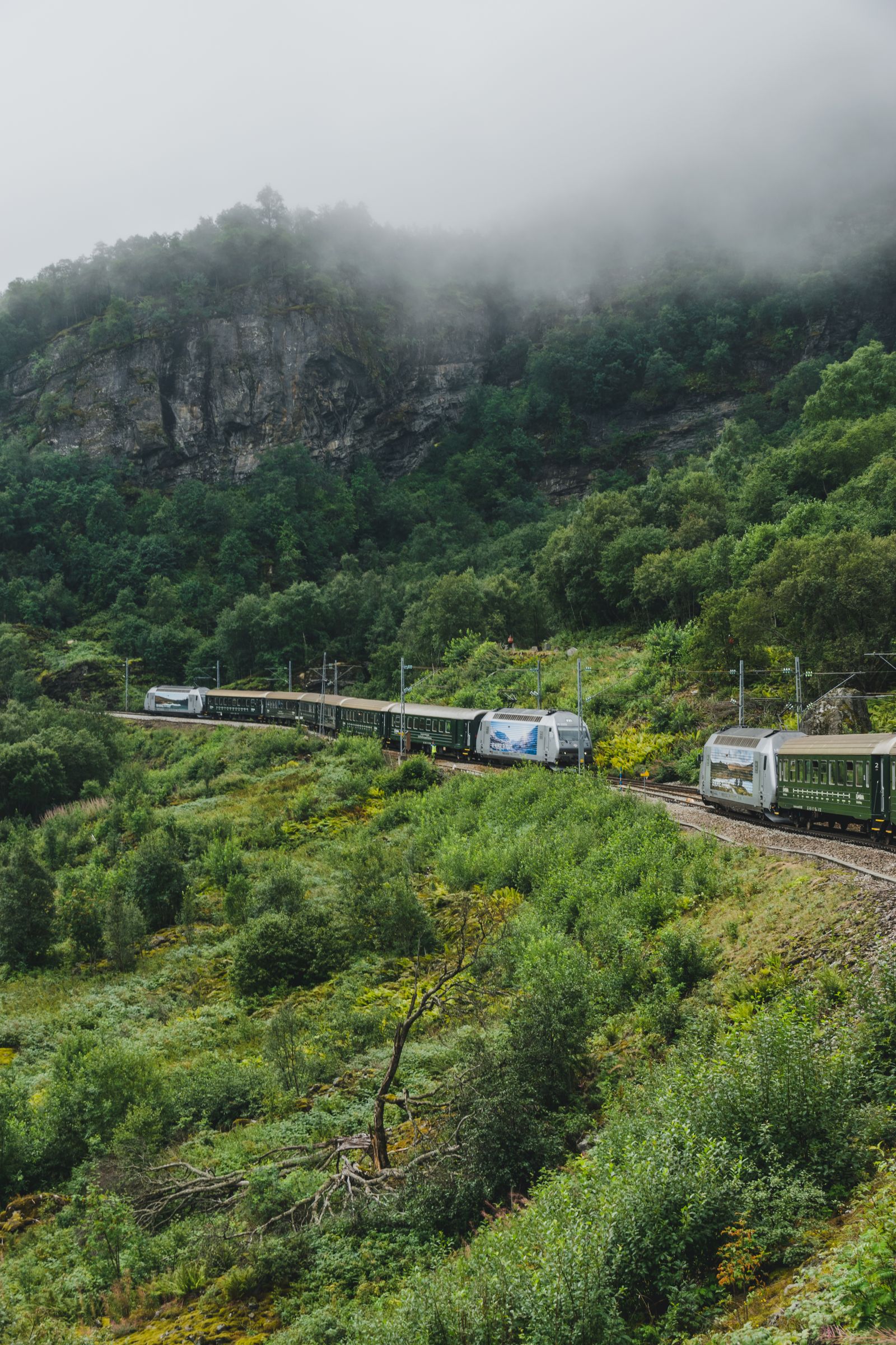 La vallée de Flåm
