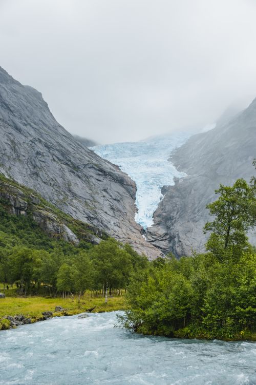 Free Majestic view of green trees growing near river and rocky formations covered with snow Stock Photo