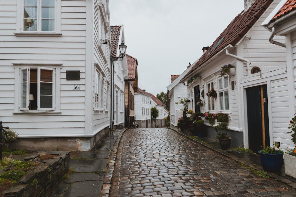 Narrow paved walkway on street between small residential buildings after raining in overcast weather
