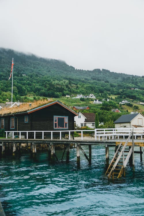 Wooden pier near small residential buildings located on river bank covered with lush green trees and plants