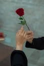 Crop unrecognizable male in black clothes presenting tender red rose to girlfriend on street