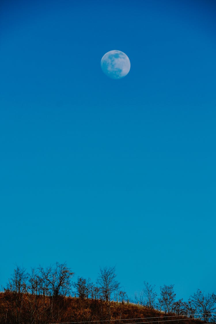 Full Moon Above Hill With Trees