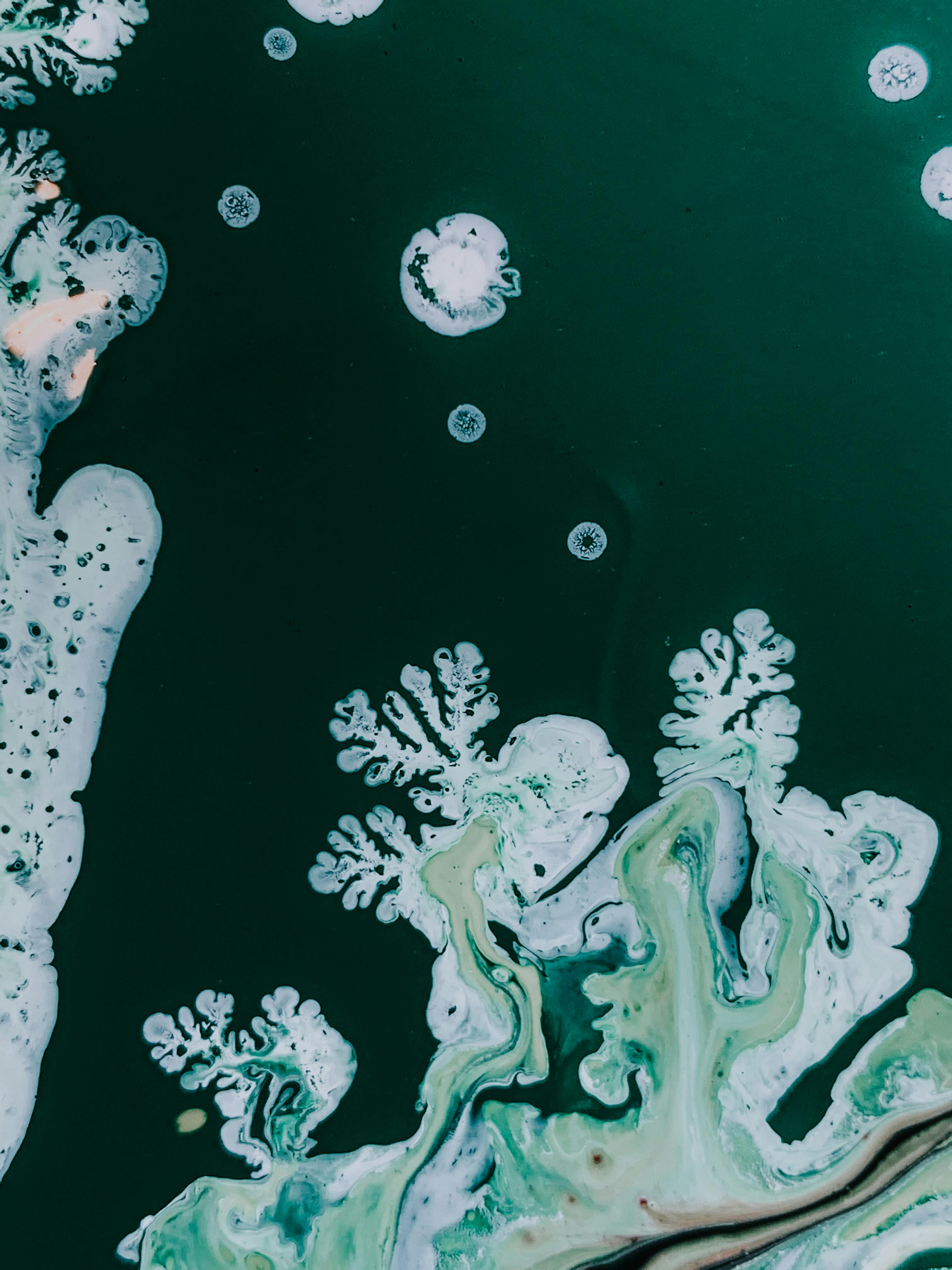 Utilizing‌ Color Theory to Make an Impact