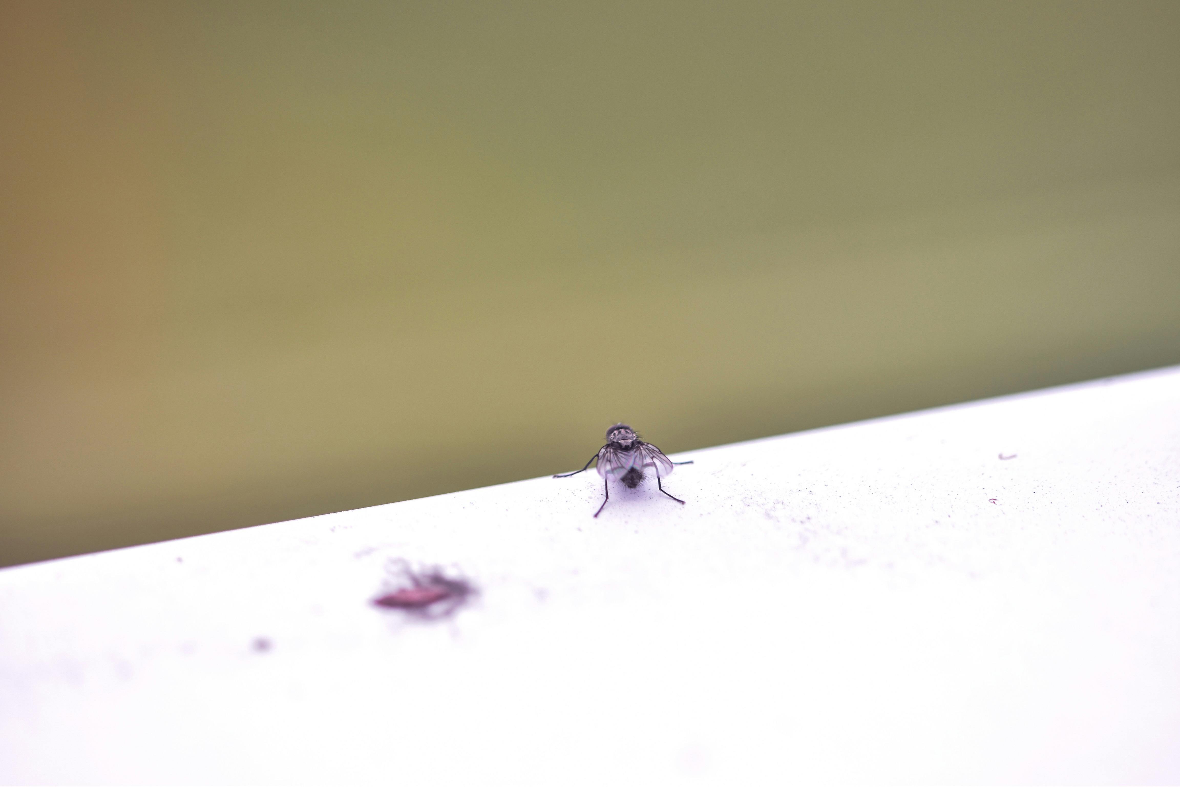 ซักโซฟา & ที่นอน