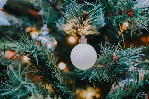 Decorative bauble hanging on coniferous tree branch of Christmas tree with glowing garland during festive holiday celebration in light room