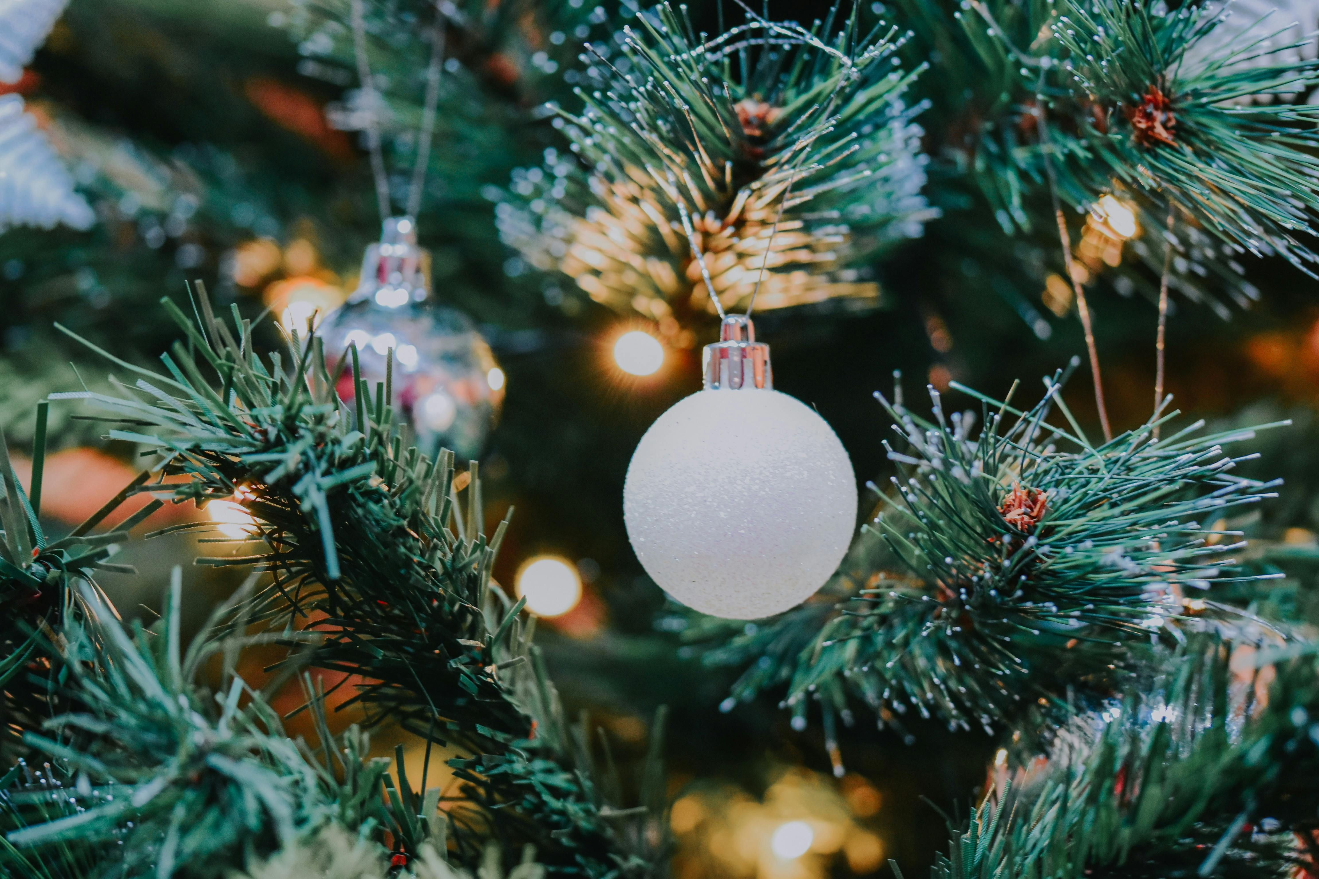 Man making Christmas arrangement with ribbon and spruce branches · Free ...