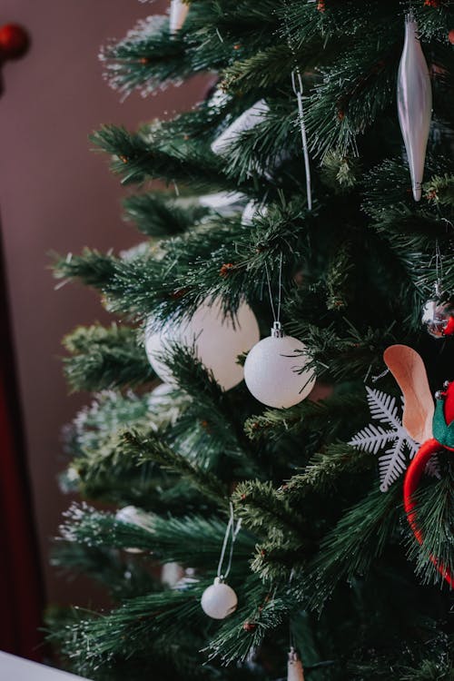 White decorative baubles hanging on green coniferous branches of Christmas tree in light room during festive holiday celebration at home