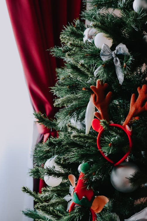 Free Decorated Christmas tree in room Stock Photo