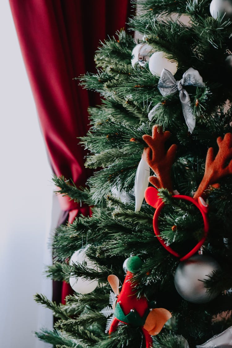 Decorated Christmas Tree In Room