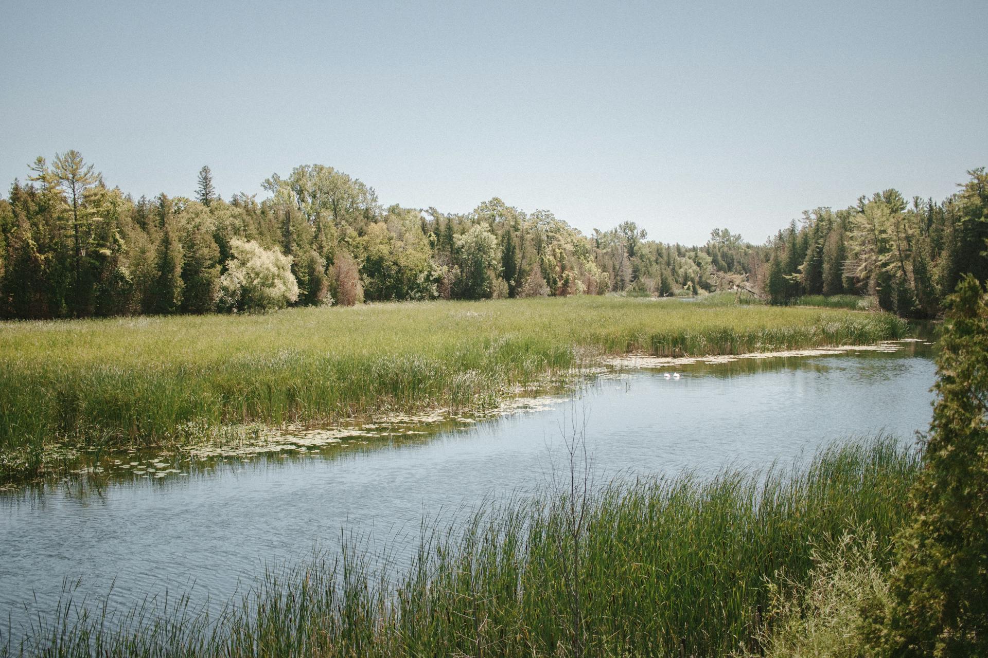 Idyllic grassland and waterway scene in Prince Edward County, Ontario, Canada.