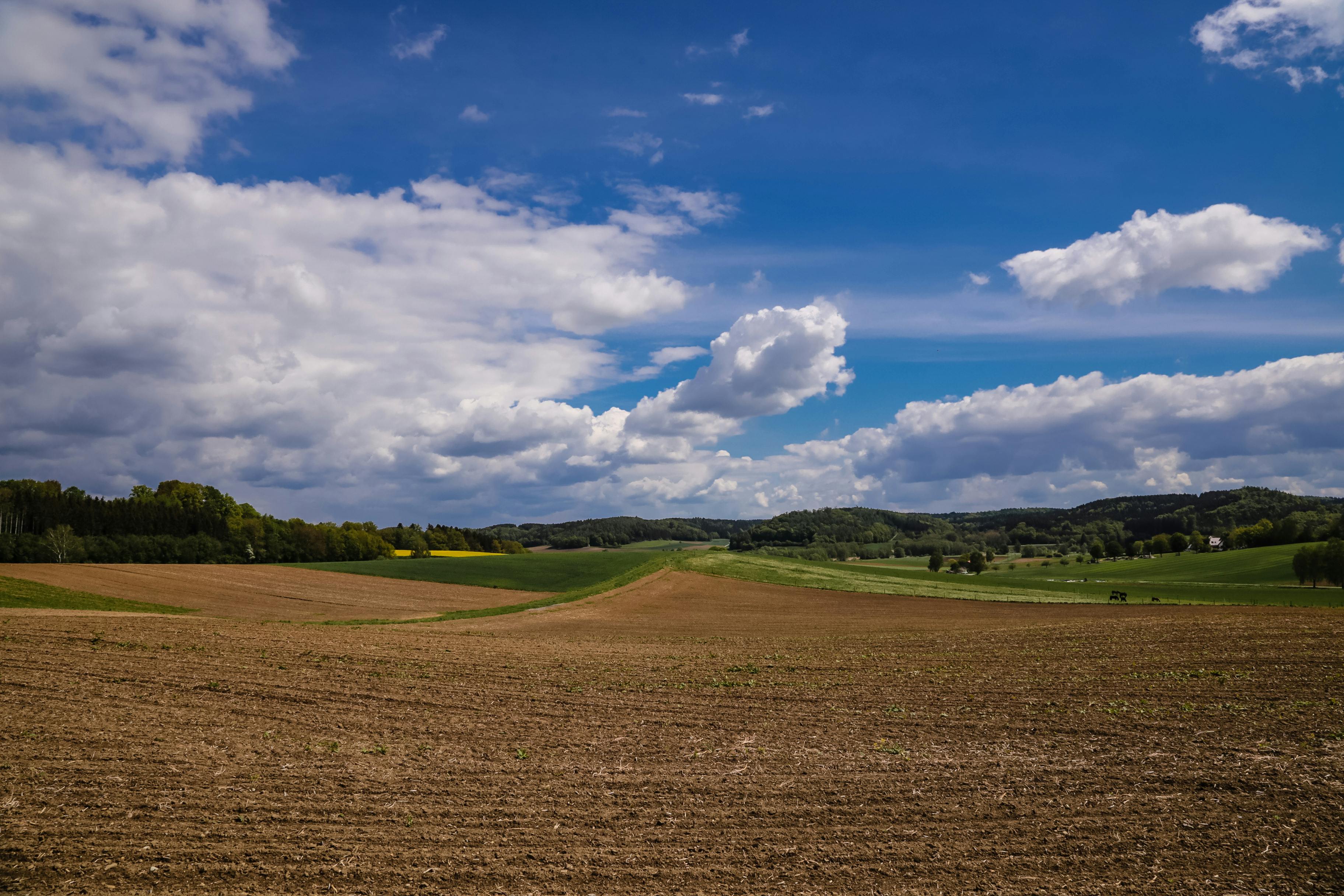 Inspekcja Weterynaryjna skontrolowała 753 schroniska zimą. W 60 z nich były nieprawidłowości