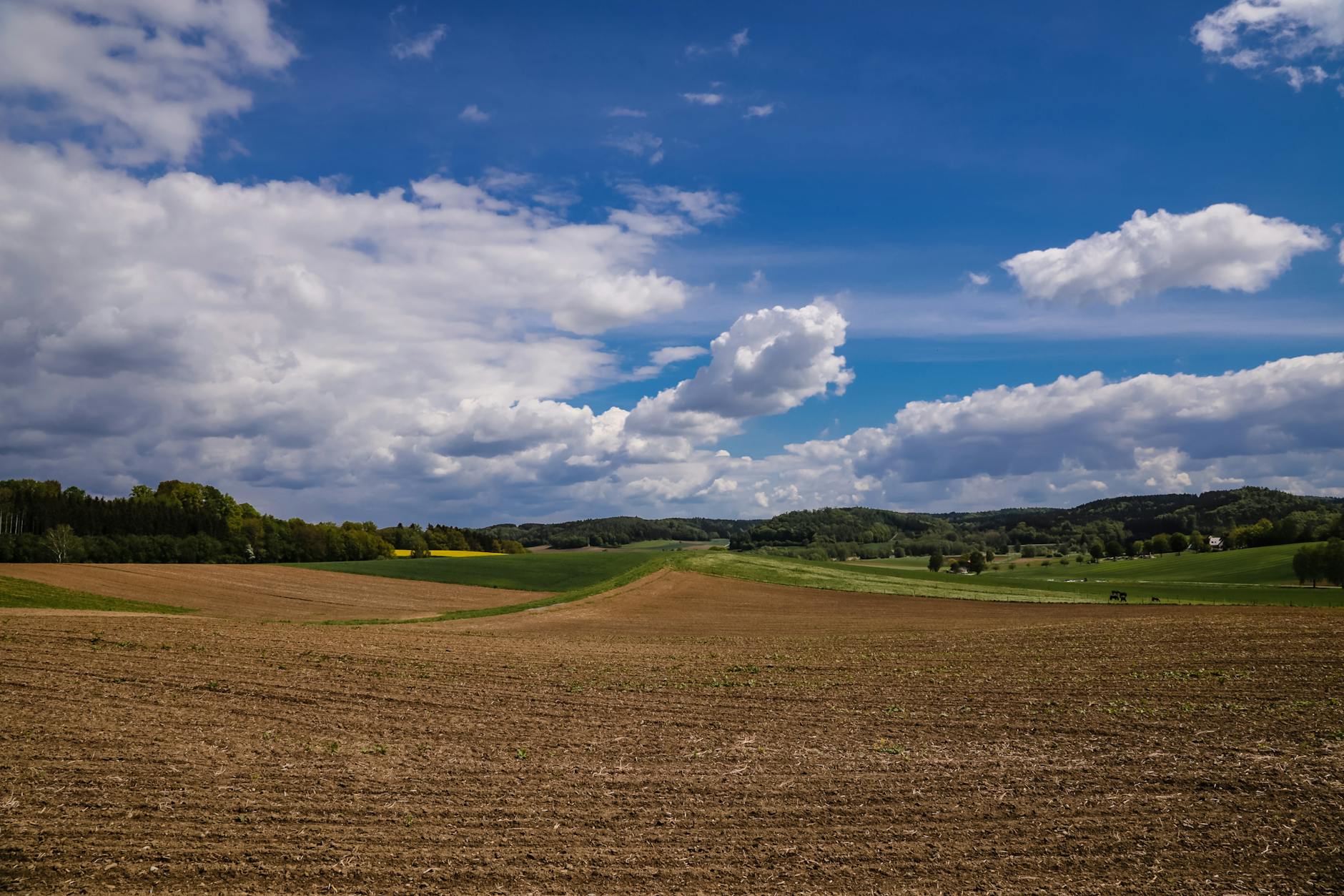 Inspekcja Weterynaryjna skontrolowała 753 schroniska zimą. W 60 z nich były nieprawidłowości