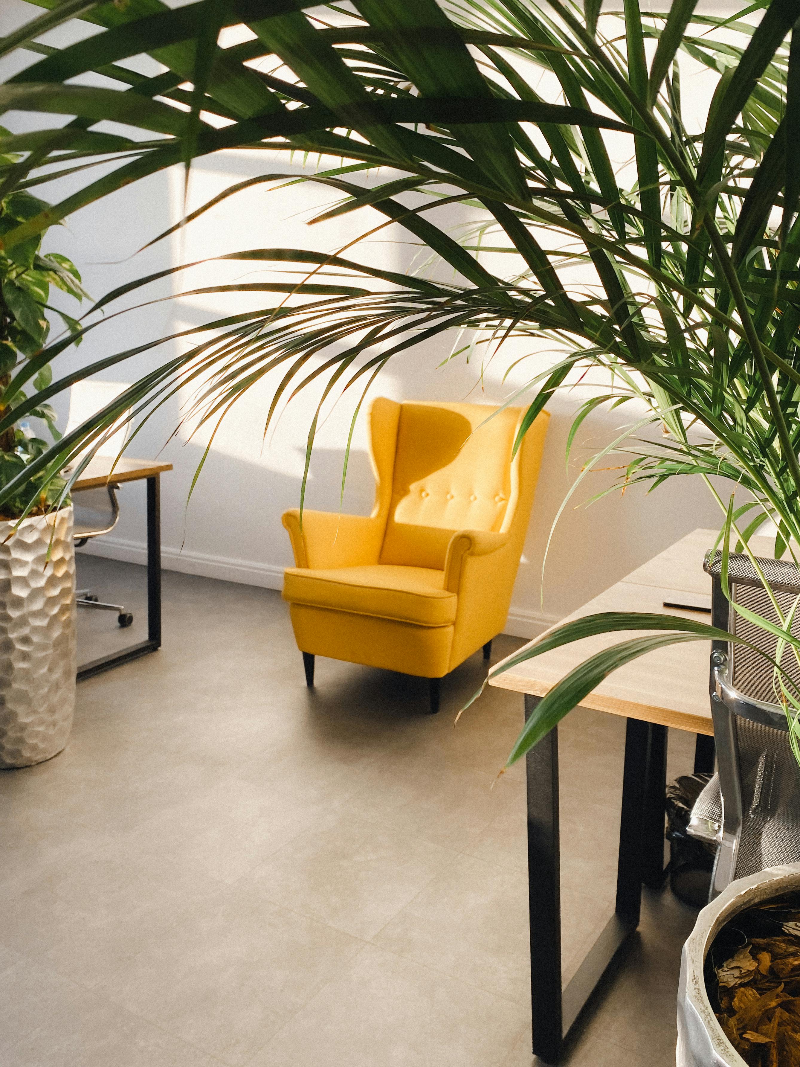 Contemporary interior of stylish room with yellow armchair and potted