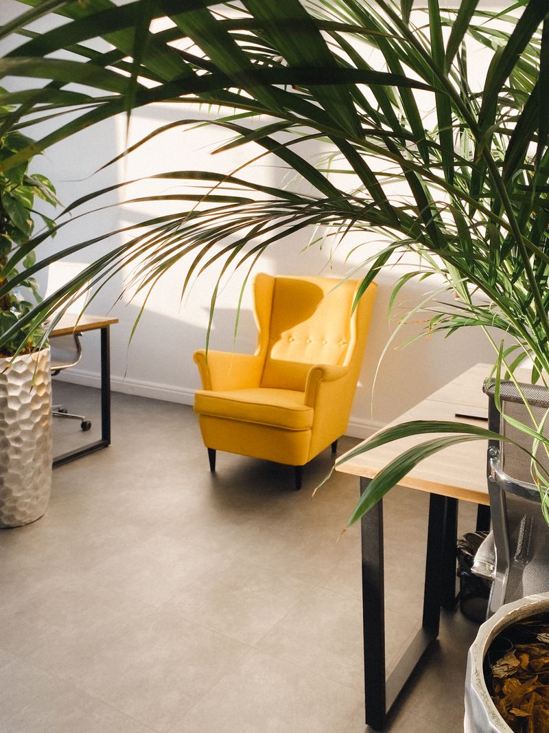 Rincón de la consulta con plantas y un sillón cálido