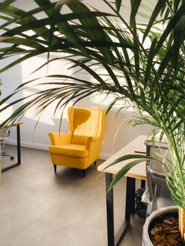 Comfortable cozy yellow chair place near white wall in spacious cabinet with wooden tables in sunlight