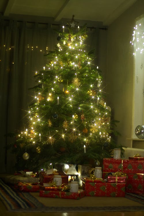Dize Işıkları Ile Yeşil Noel Ağacı