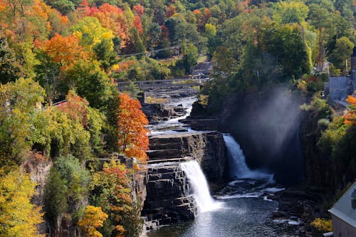 Family-Friendly Spots to See Fall Leaves This Year