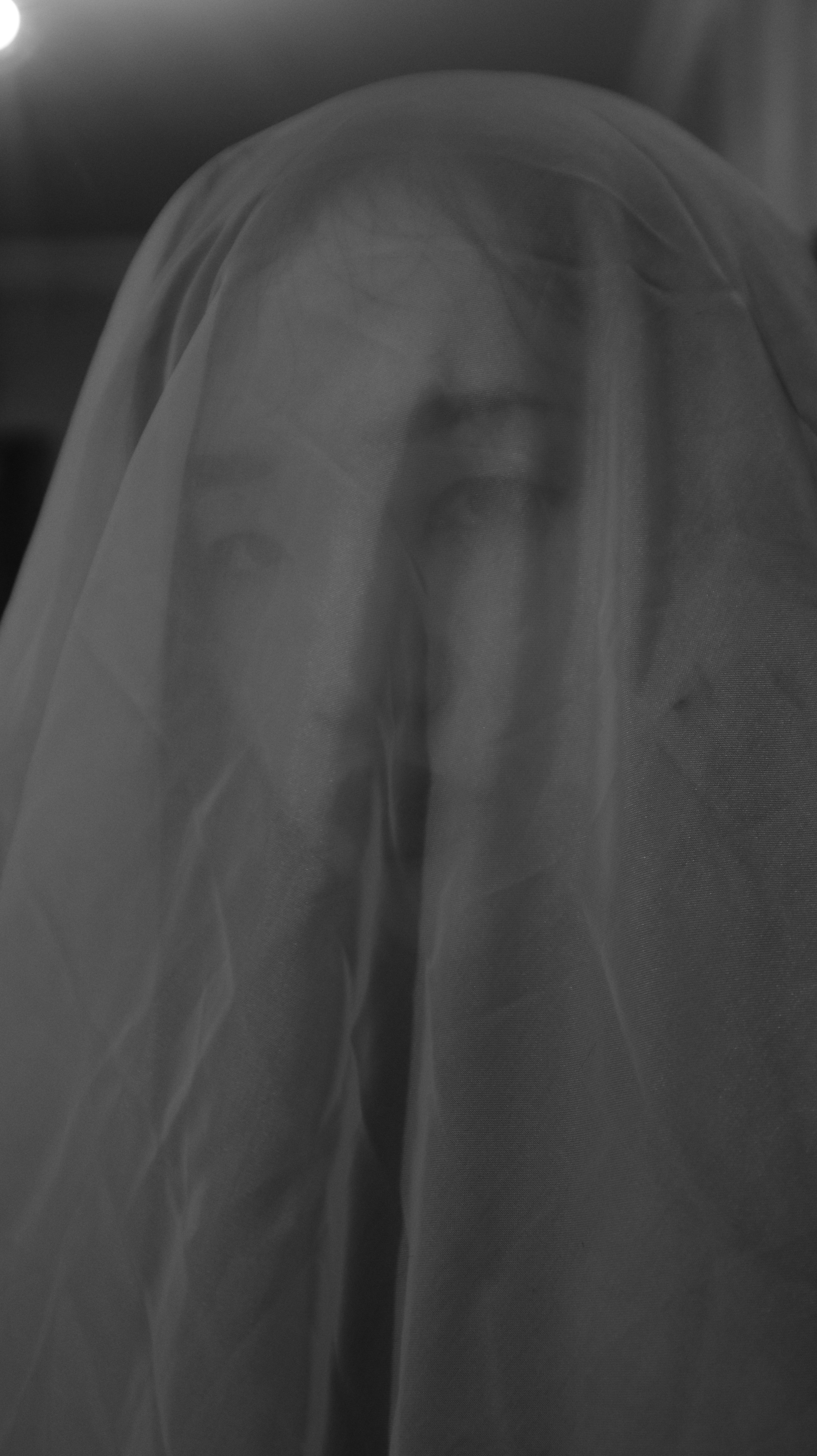 Woman with Black Veil Over her Face · Free Stock Photo