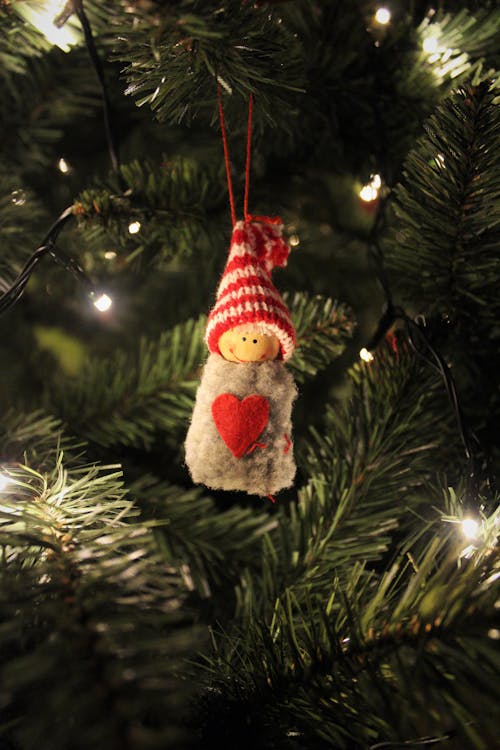 Christmas Ornament Hanging on a Christmas Tree