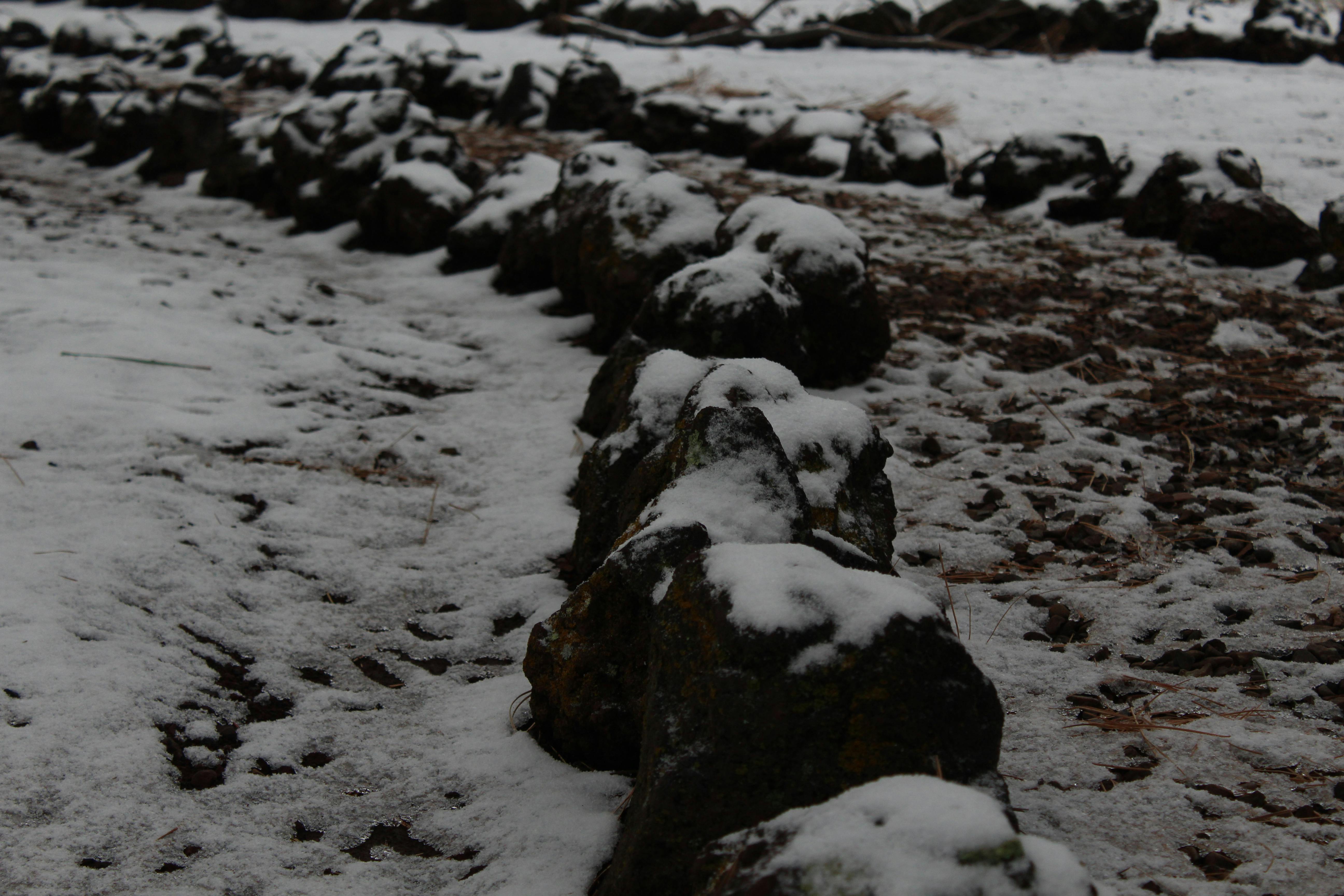 Balanced girl dinner board with vegetables, dips, and small bowls of toppings