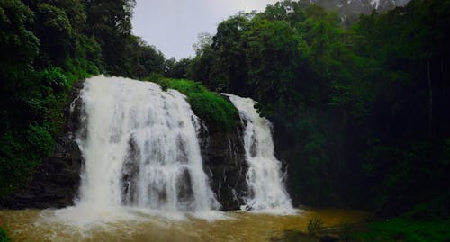 Free stock photo of nature, waterfalls