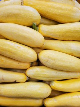 Yellow Summer Squash