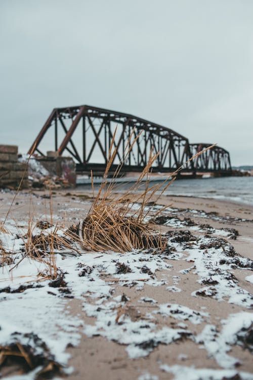 Free Coast with withered grass and snow near rippling water and bridge with metal constructions on cold winter day in coastal area Stock Photo