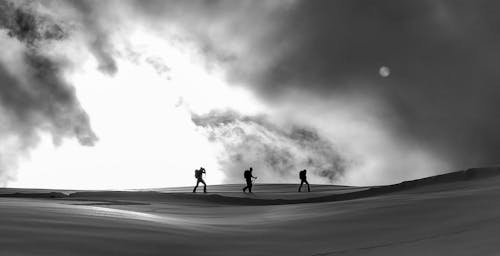 Black and white silhouettes of skiers and hikers crossing spacious snowy terrain under cloudy sky on cold winter weather
