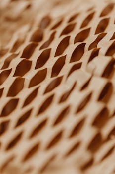 Detailed view of a honeycomb textured cardboard pattern showcasing intricate design and texture.