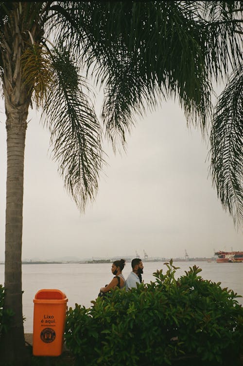 Unrecognizable men sitting back to back in summer day on beach with palms and lush bushes