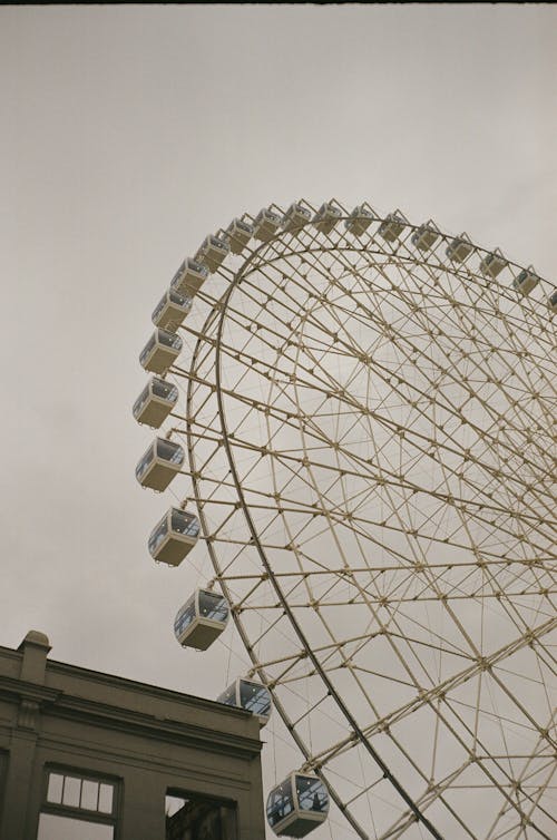 A Ferris Wheel under a Gloomy Sky